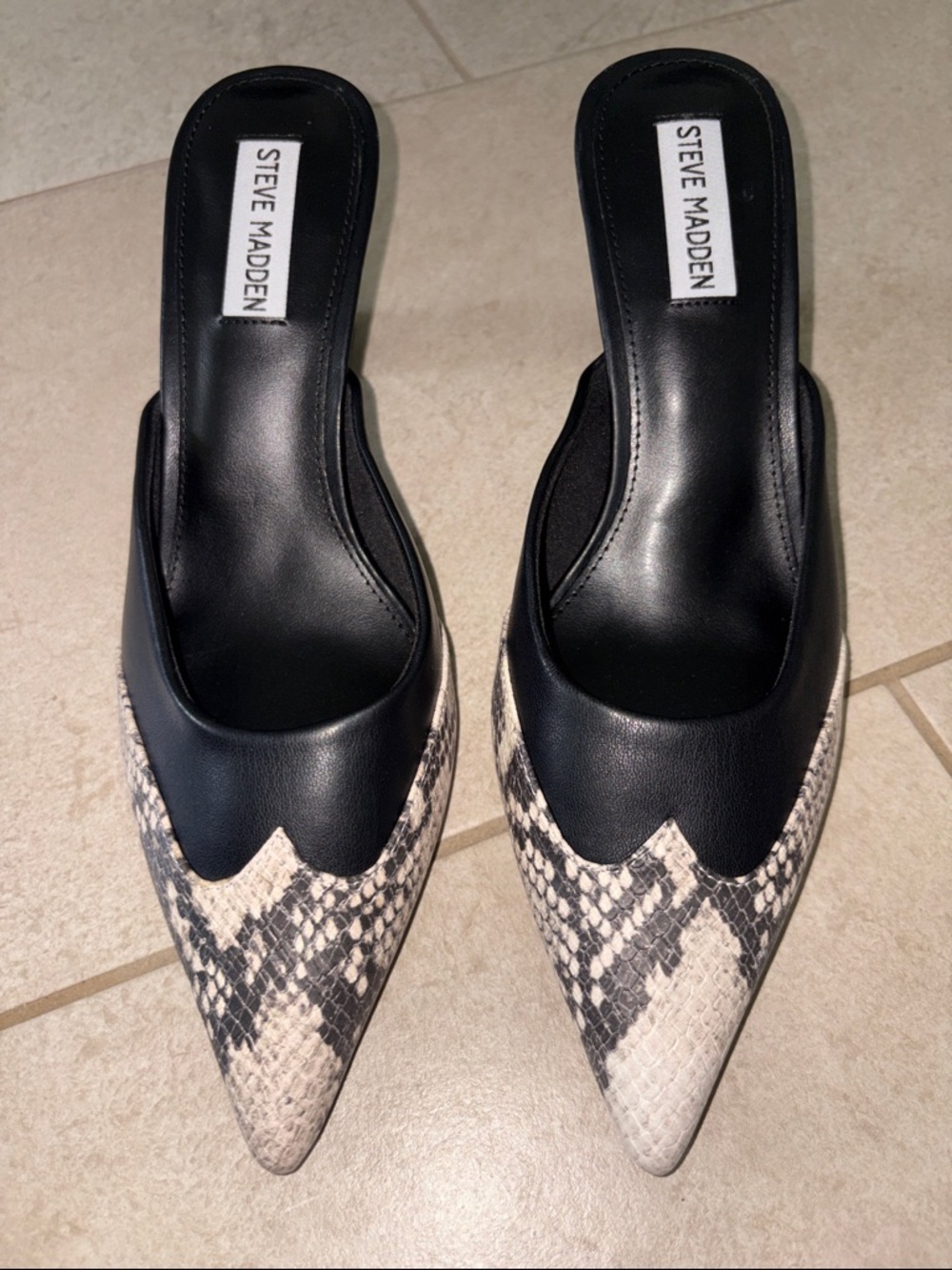 STEVE MADDEN Elysa Pointed Toe Mule